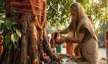 शनिवार को पीपल के पेड़ पर छाछ चढ़ाने की मान्यता, जानिए क्या है धार्मिक महत्व