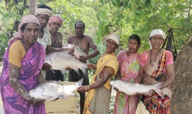 विष्णु भैया की पहल से तालाब बना महिलाओं की तरक्की का आधार, मछली पालन से सशक्त हुईं मनोरा और दुलदुला की महिलाएं