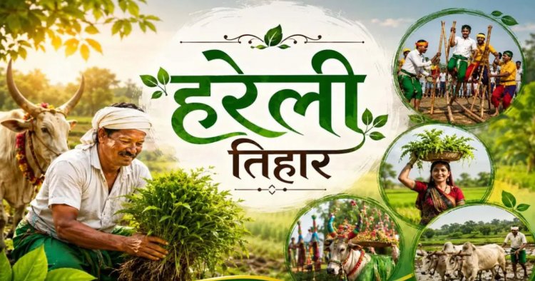 छत्तीसगढ़ में हरेली की धूम : CM साय से लेकर पूर्व सीएम बघेल तक मनाएंगे पर्व, बस्तर में निकलेगी तिरंगा यात्रा