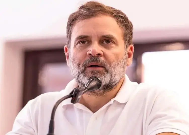 राहुल गांधी ने CBI-ED जांच के आदेश के खिलाफ खटखटाया सुप्रीम कोर्ट का दरवाजा, 17 अगस्त को सुनवाई