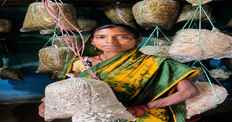 विष्णु के सुशासन में गांव की बेटियां बन रहीं आत्मनिर्भर, बबली यादव ने फोटो कॉपी, मशरूम और महुआ व्यवसाय से बढ़ाई आय