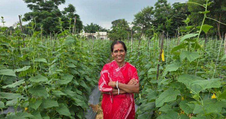 बिहान से बहनों को मिला आर्थिक संबल, खीरे की खेती से सुभद्रा मंडल ने लिखी आत्मनिर्भरता की नई कहानी