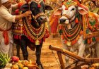 प्रतिवर्ष अनुसार रायपुर के ऐतिहासिक स्थल रामसागर पारा में होगा भव्य बैला दौड़ पोरा तिहार का आयोजन