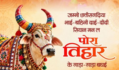 पोरा तिहार पर वित्त मंत्री  ओपी चौधरी ने प्रदेशवासियों को दी शुभकामनाएं