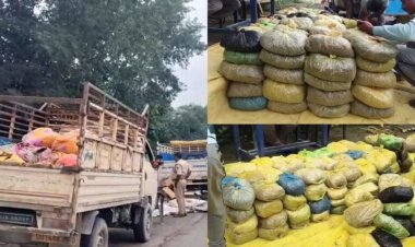 CG : छत्तीसगढ़ में यहां पकड़ाया दो पिकअप भरकर गांजा, 8 क्विंटल माल जब्त, 7 हिरासत में