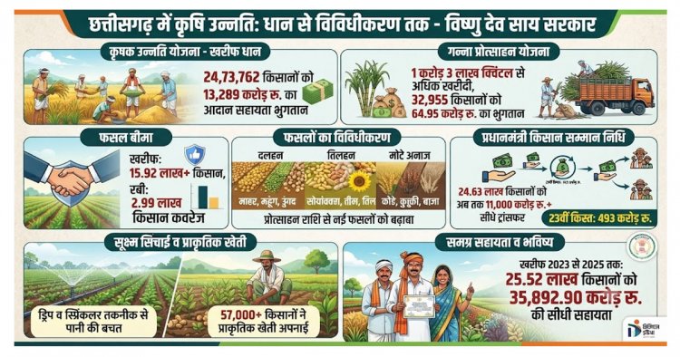 आधुनिक और नगदी फसलों की खेती ने बदली छत्तीसगढ़ के किसानों की तकदीर, खेती ने पकड़ी नई रफ्तार, खेत से बाजार तक बदल रही तस्वीर…