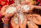 CG : राशन कार्ड धारकों के लिए बड़ी राहत, अब 15 अक्टूबर तक मिलेगा सितंबर-अक्टूबर का दो महीने का चावल