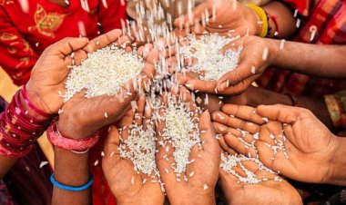 CG : राशन कार्ड धारकों के लिए बड़ी राहत, अब 15 अक्टूबर तक मिलेगा सितंबर-अक्टूबर का दो महीने का चावल