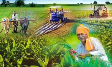 त्रिवर्षीय आबकारी नीति से निर्यात उछला तो यूपी में किसानों और उद्योगों के लिए बढ़े अवसर