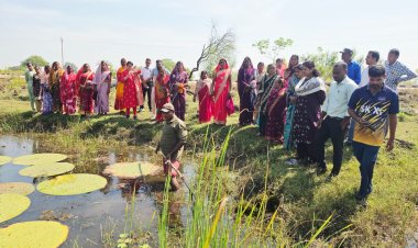 मखाना की खेती से आत्मनिर्भरता की ओर बढ़ रहीं धमतरी की महिलाएं