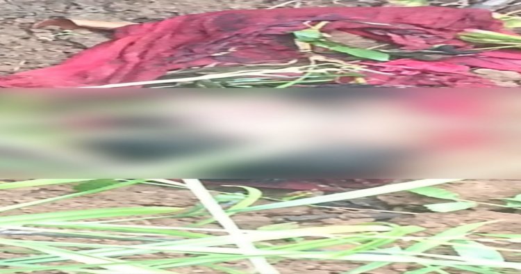 CG : दो दिन से लापता शख्स का खेत में मिला कटा हुआ सिर, इलाके में मचा हड़कंप