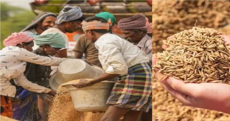 छत्तीसगढ़ में धान खरीदी के नियम बदले, अब फिंगरप्रिंट से होगा सत्यापन, जान लीजिए ये नए नियम…..